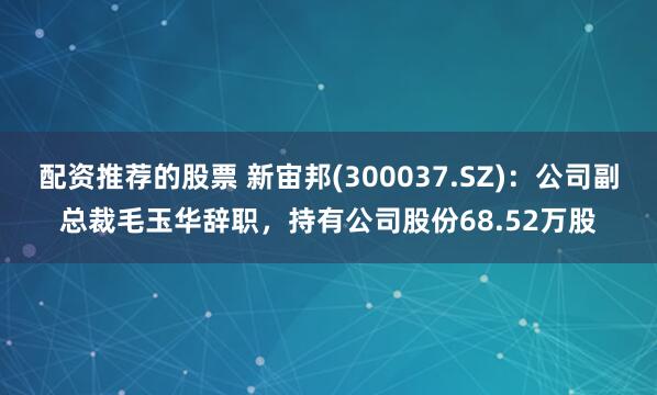 配资推荐的股票 新宙邦(300037.SZ)：公司副总裁毛玉华辞职，持有公司股份68.52万股