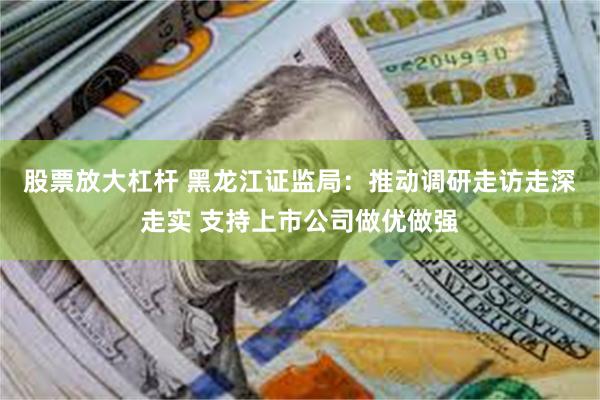 股票放大杠杆 黑龙江证监局：推动调研走访走深走实 支持上市公司做优做强