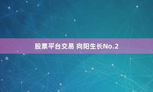 股票平台交易 向阳生长No.2