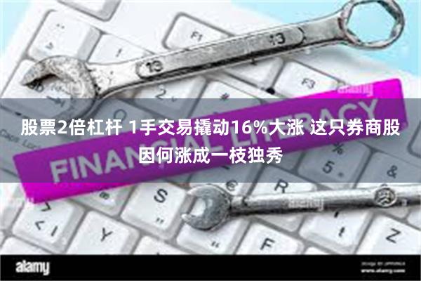 股票2倍杠杆 1手交易撬动16%大涨 这只券商股因何涨成一枝独秀