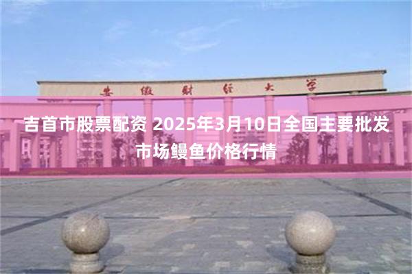 吉首市股票配资 2025年3月10日全国主要批发市场鳗鱼价格行情