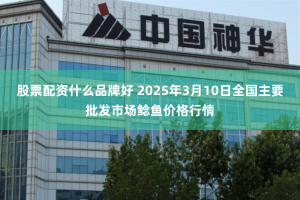 股票配资什么品牌好 2025年3月10日全国主要批发市场鲶鱼价格行情