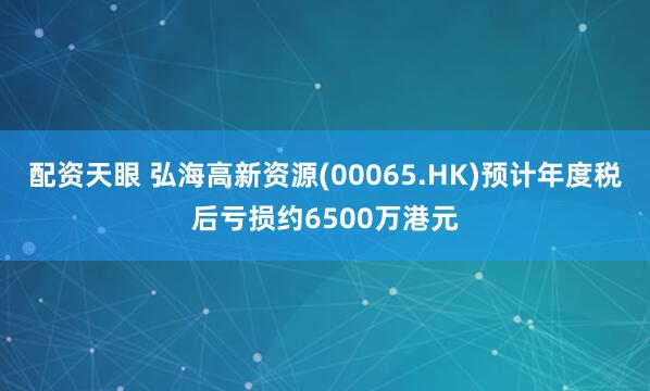 配资天眼 弘海高新资源(00065.HK)预计年度税后亏损约6500万港元