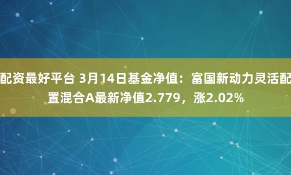 配资最好平台 3月14日基金净值：富国新动力灵活配置混合A最新净值2.779，涨2.02%